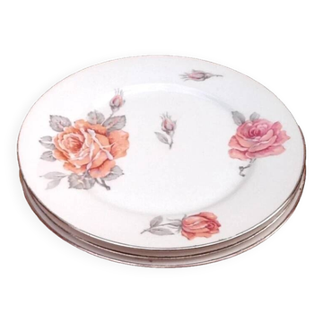 3 white porcelain dinner plates with a rose design and silver rim.