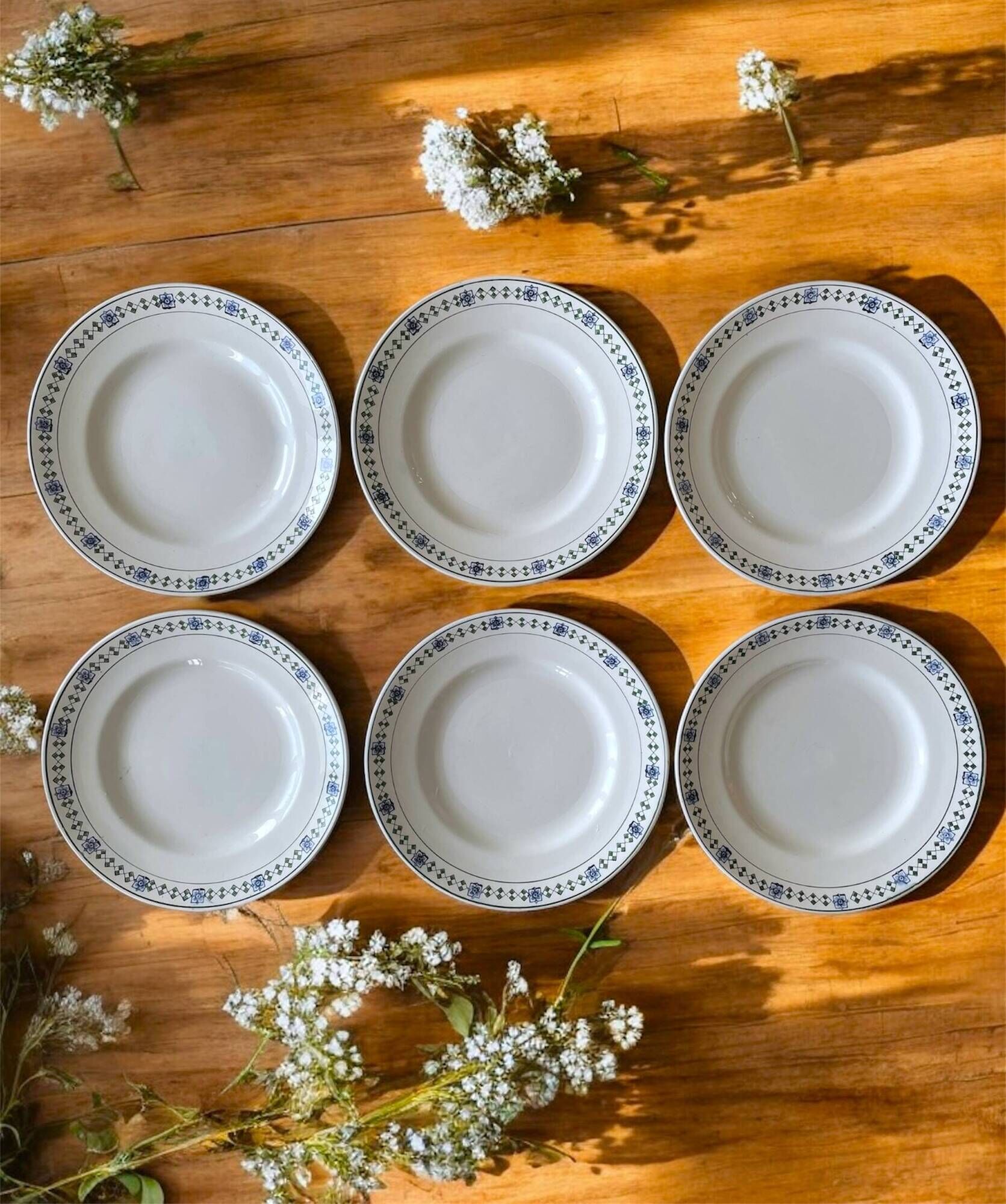 6 assiettes plates anciennes en faïence de Saint-Amand (Nord)