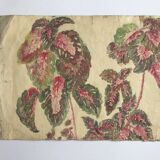 Solenostermon (Coleus Blumei), 1950s. Watercolor on paper