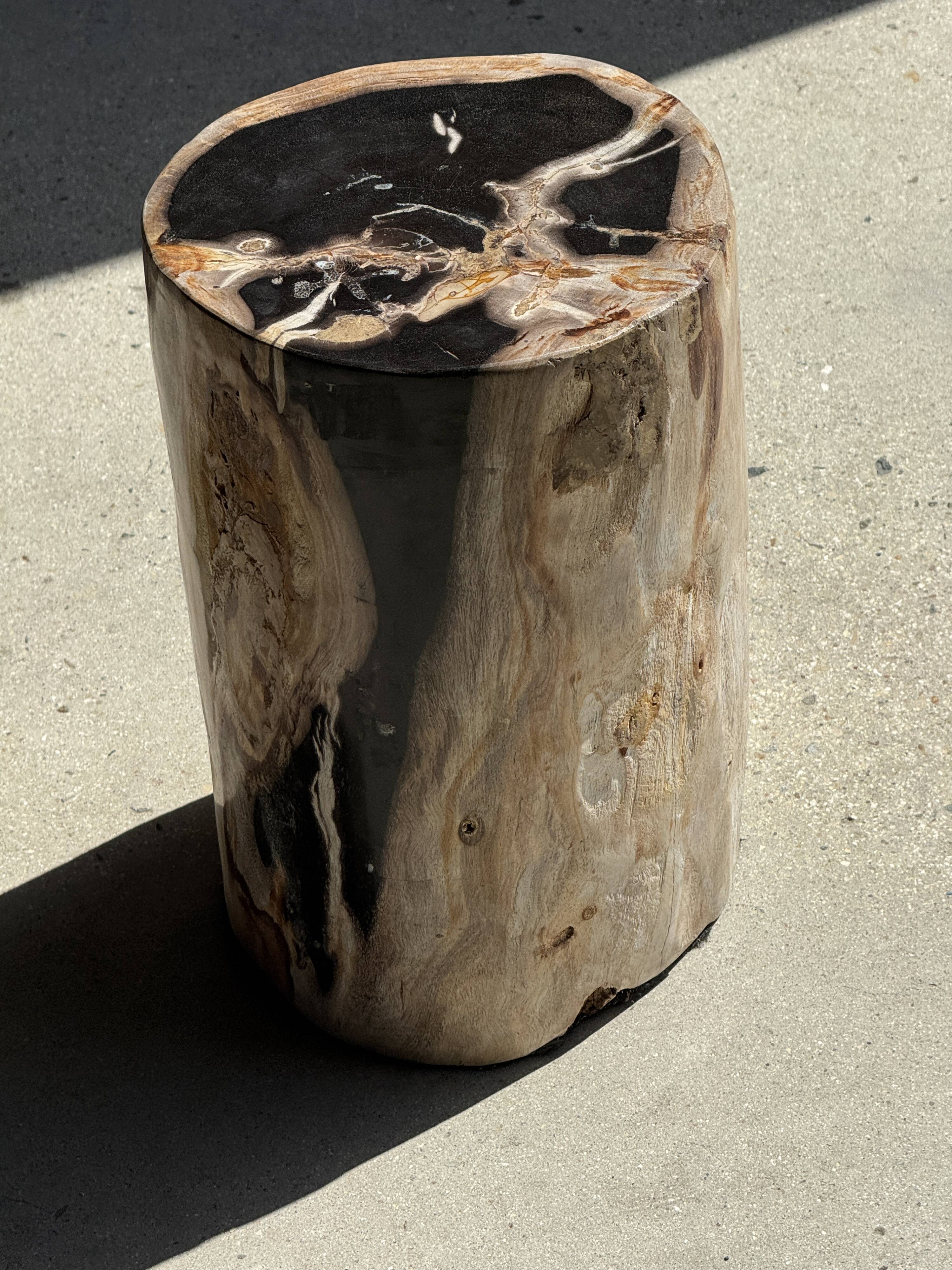 Petrified wood side table, black heart, beige bark, H35 D22 - 3330