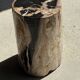 Petrified wood side table, black heart, beige bark, H35 D22 - 3330