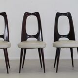 Italian dining set by Vittorio Dassi