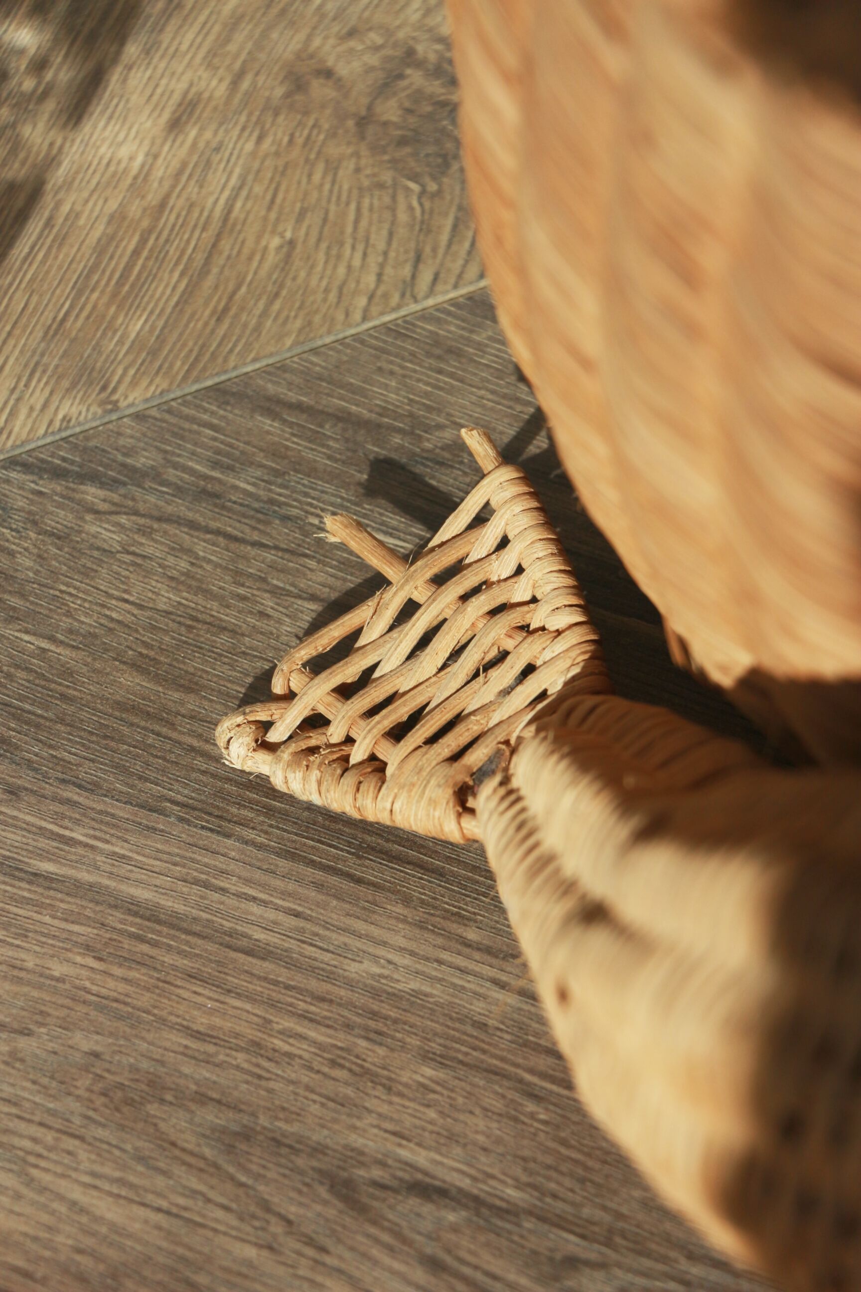 Wicker frog magazine rack by Olivier Cajan