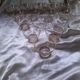 15 coupelles à champagne année 50