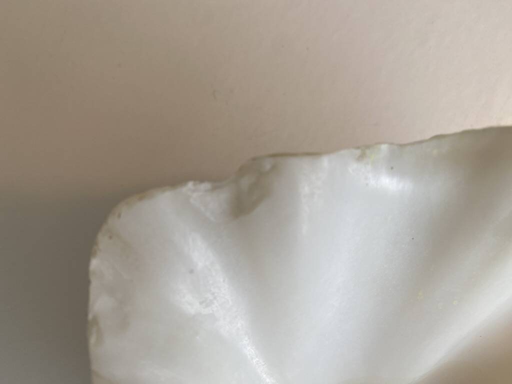 Large holy water clam shell on base - 34x25x11 cm - natural - 2600g