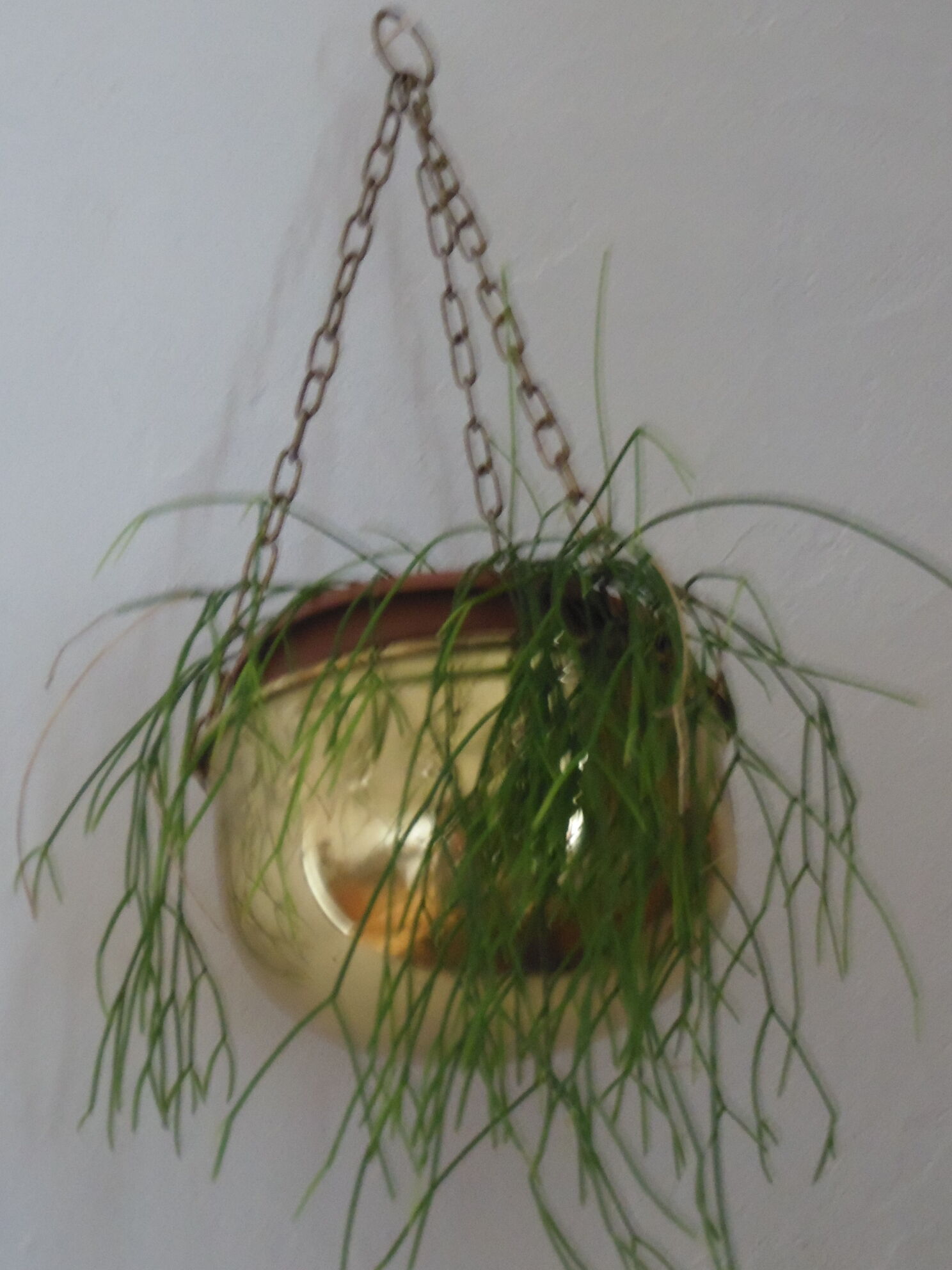 Cache pot suspendu metal repoussé doré