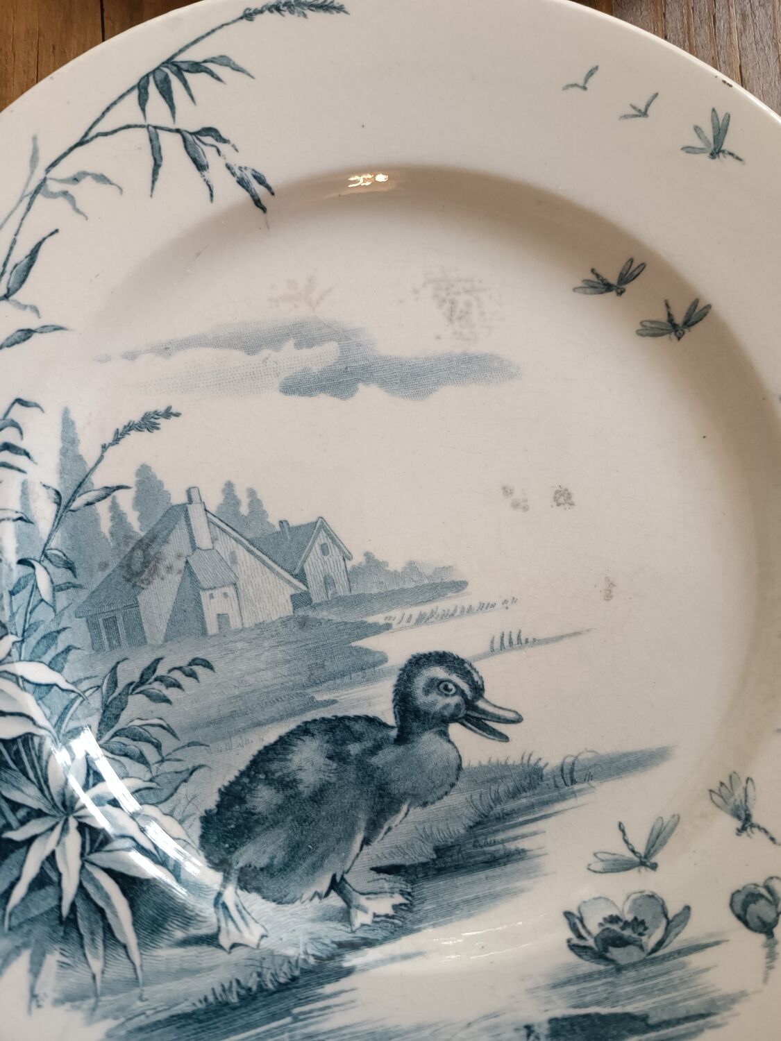 4 plates iron earth Gien model Ducks
