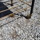 Coffee table from the 60s in black and gold metal tubes mahogany formica top