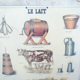 Pedagogical school poster, the lait