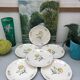 Lots of 6 flat plates model embrun, with floral motifs. Stamped Salins France