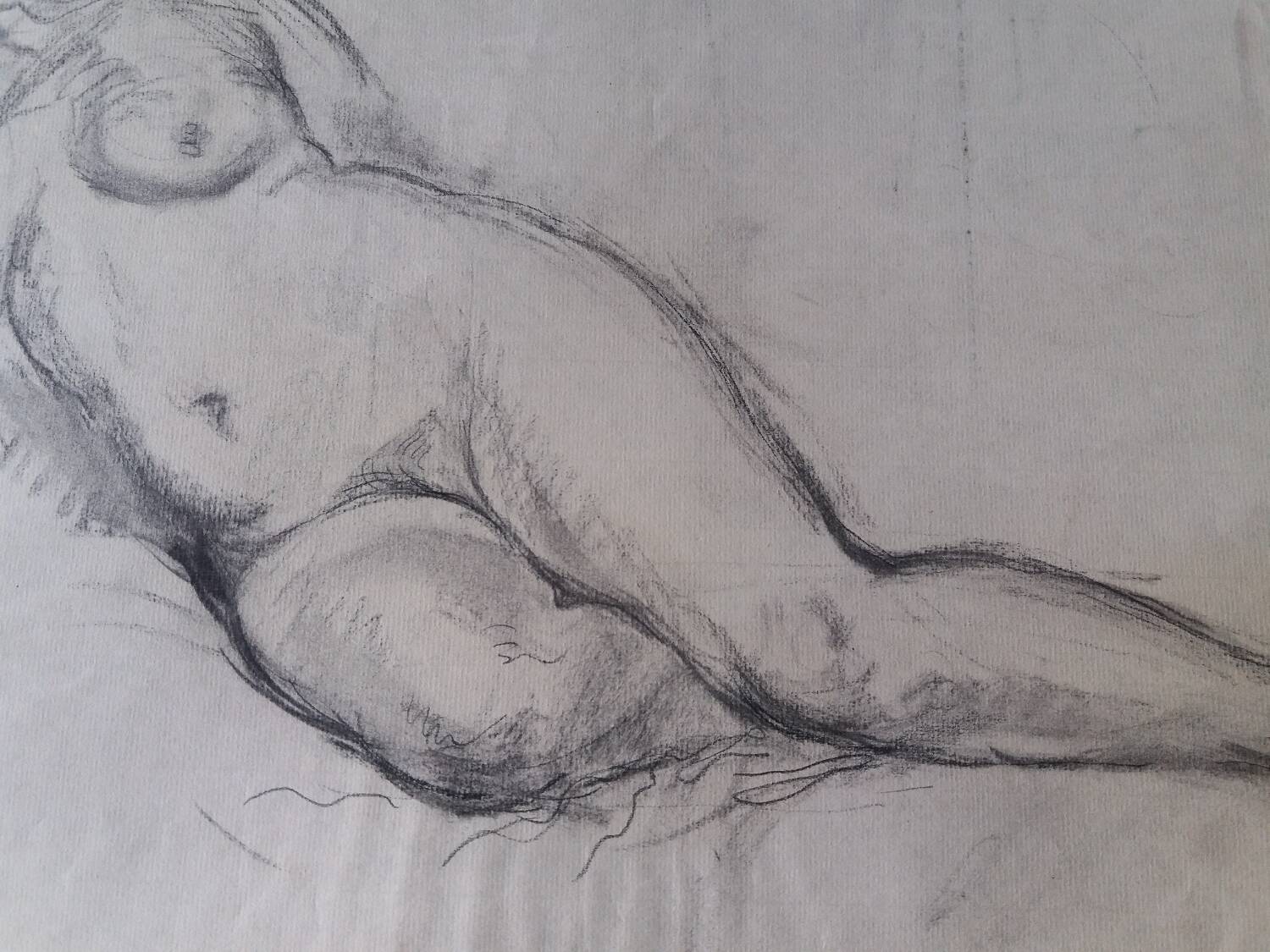 Study of a female nude