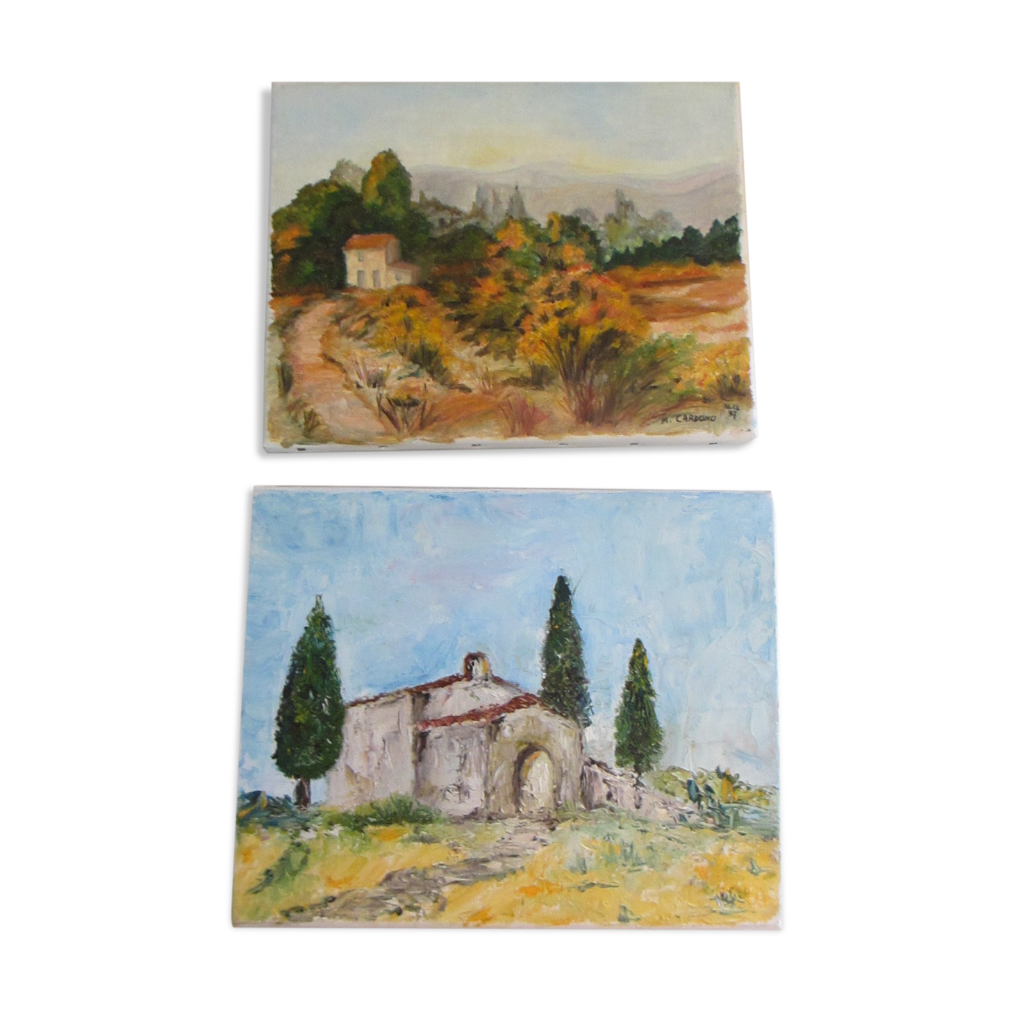 2 paintings on canvas