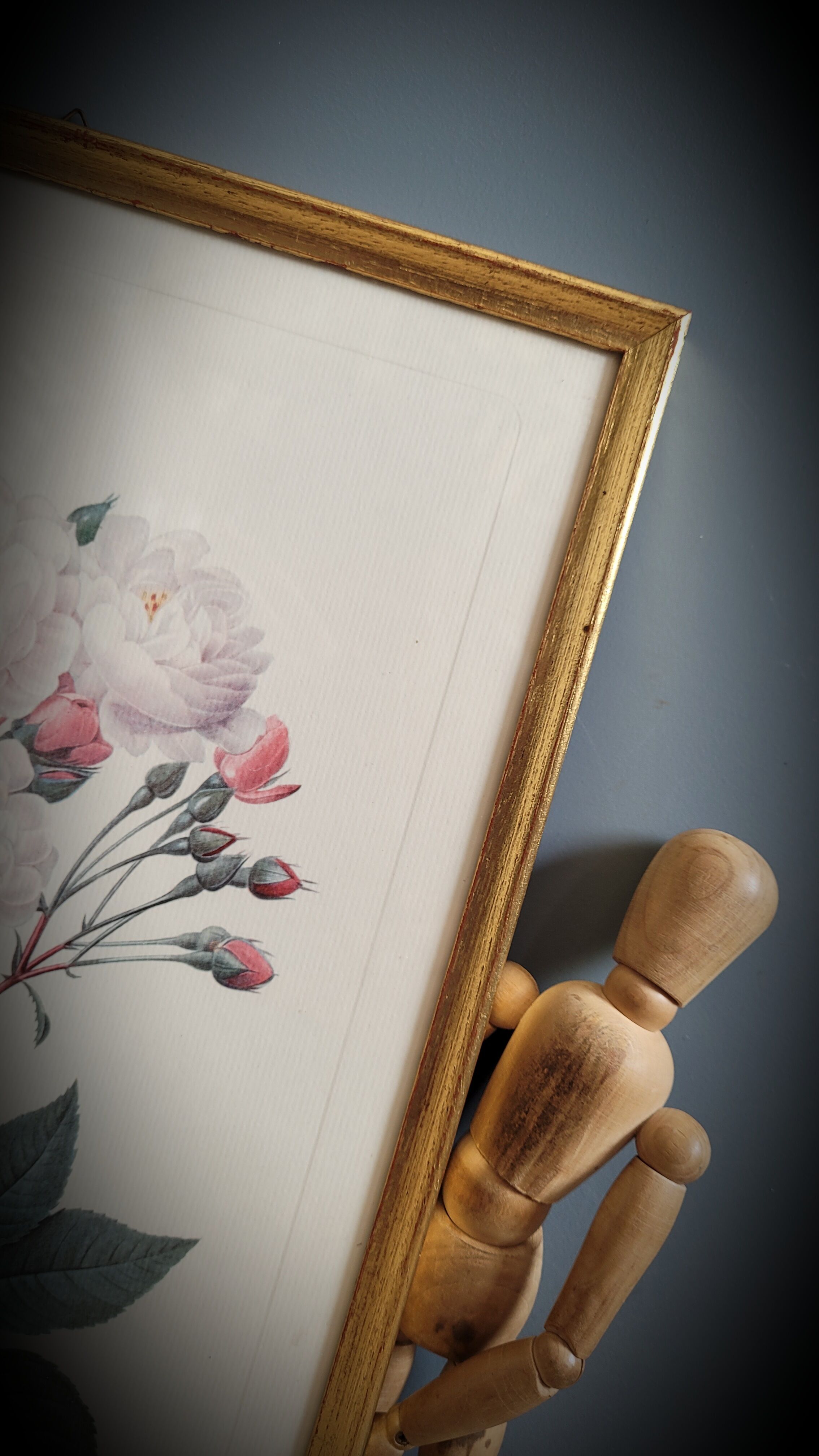 Litho Rose Philippe Noisette