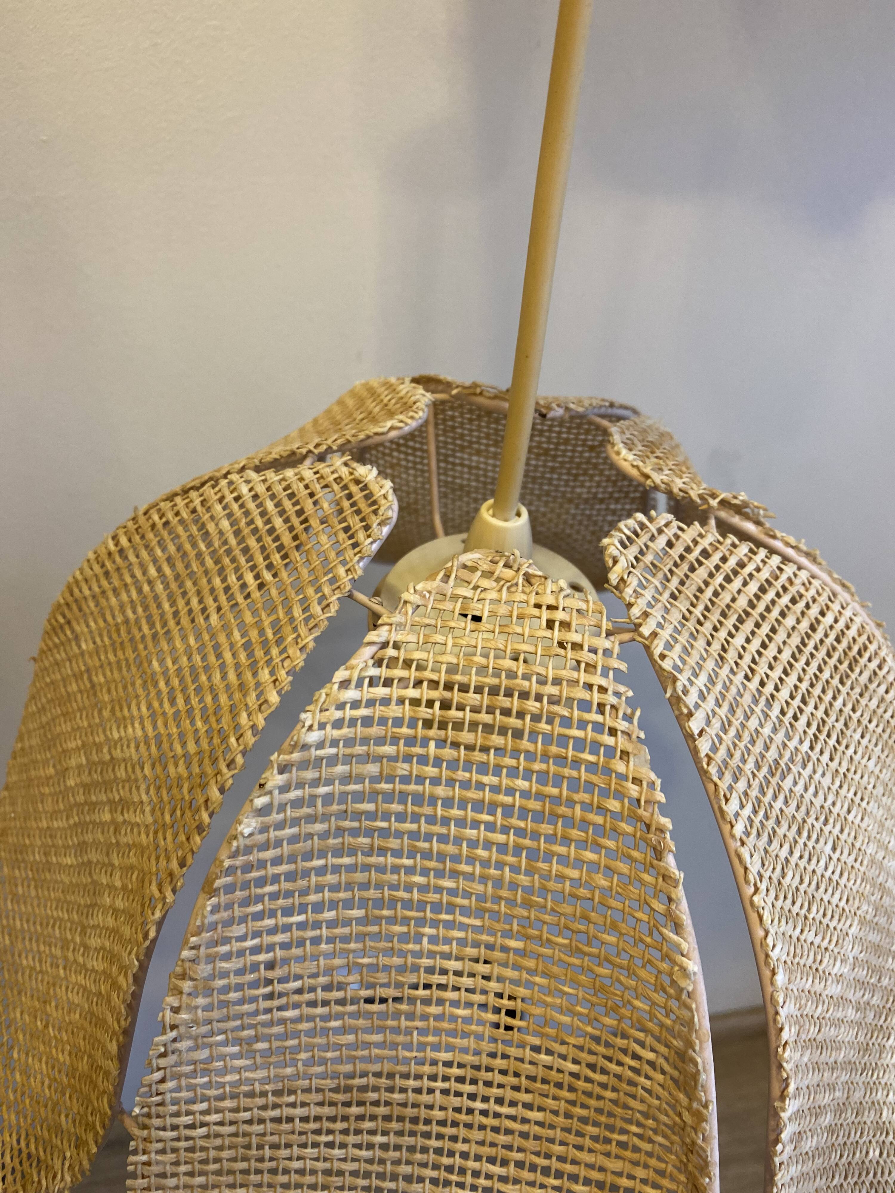 Rattan suspension