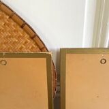 Pair of vintage botanical plates