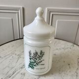 Old pharmacy jar Salvia Officinalis