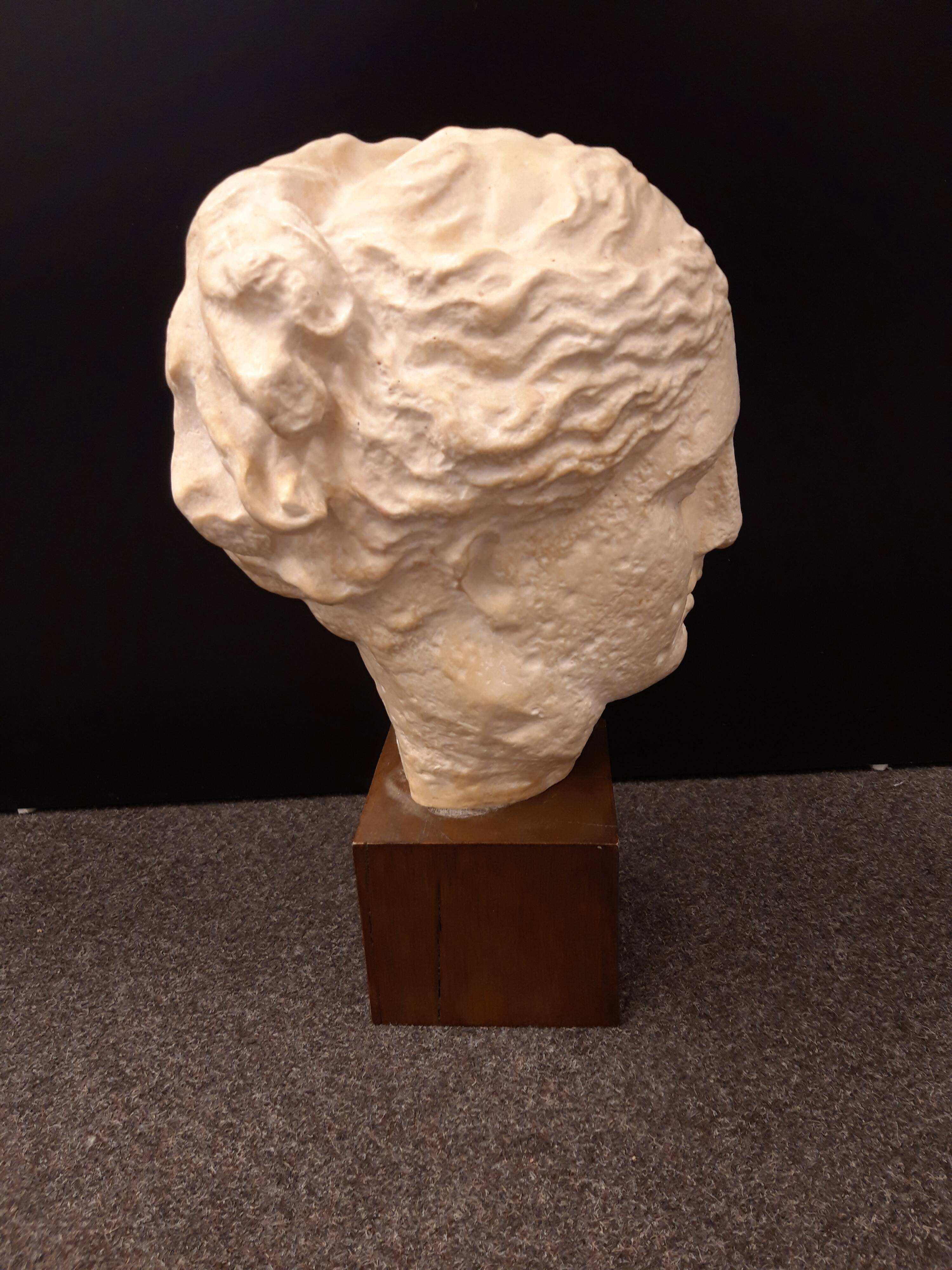 Head of the goddess Hygie