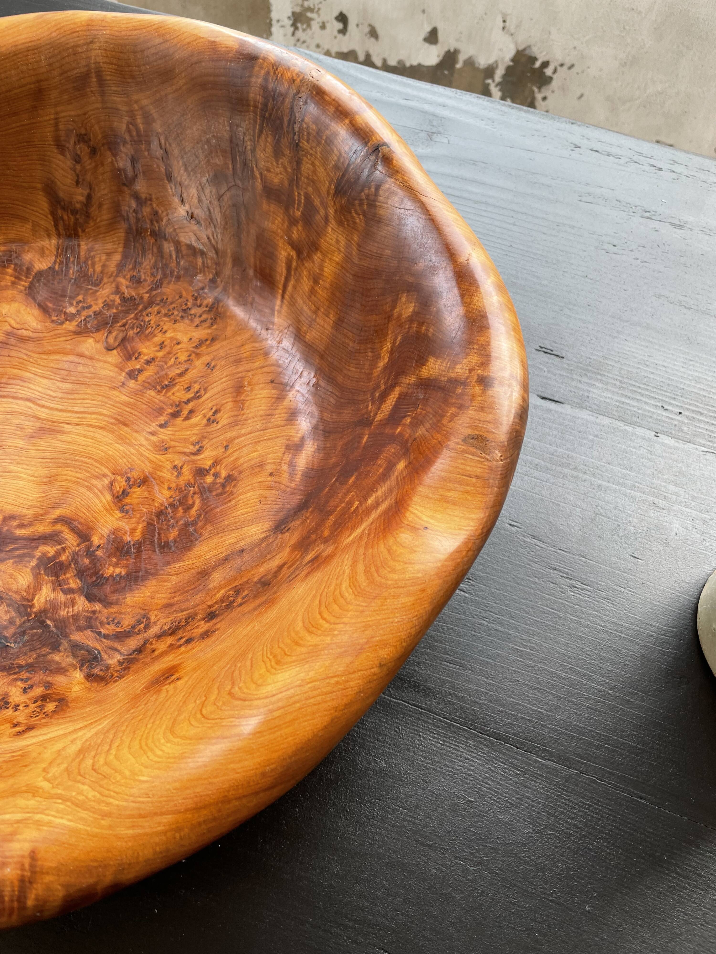 XL thuja root wooden dish