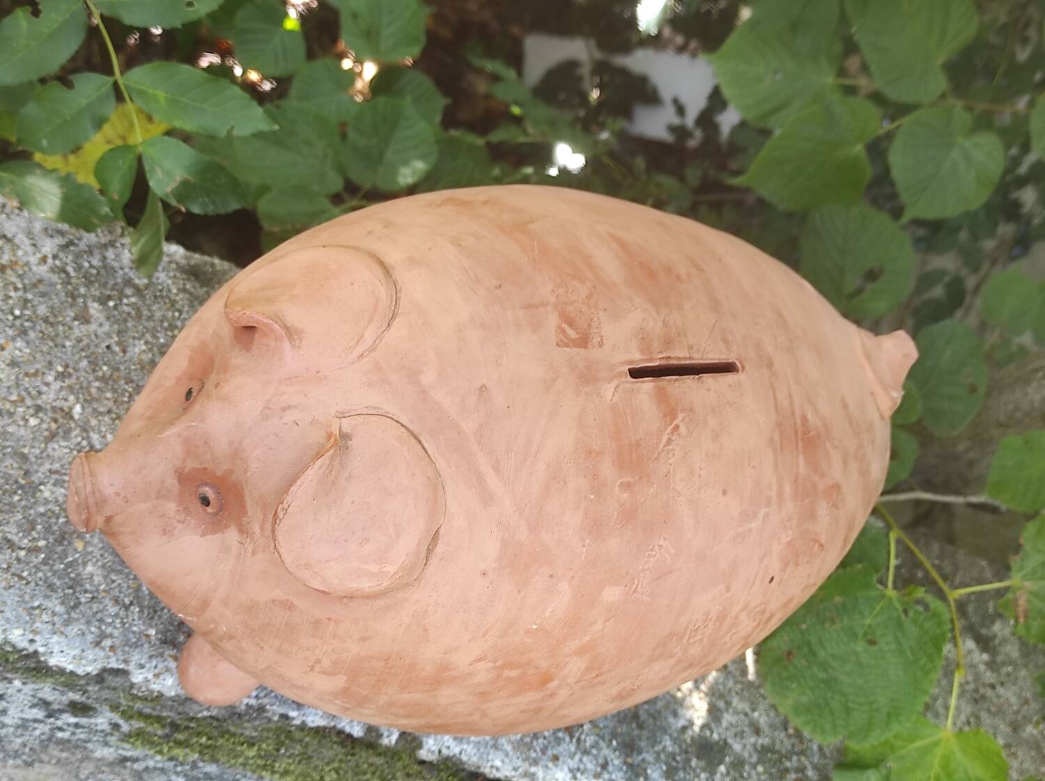 Piggy bank