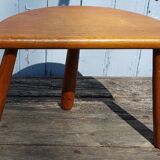 Milking tripod stool