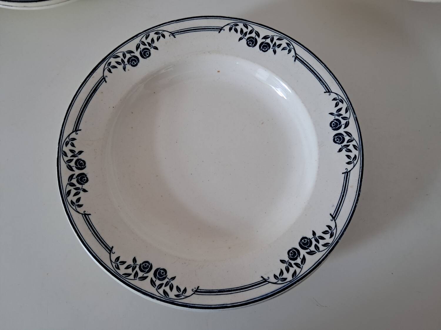 Saussure deep plates, Terre de Fer EC