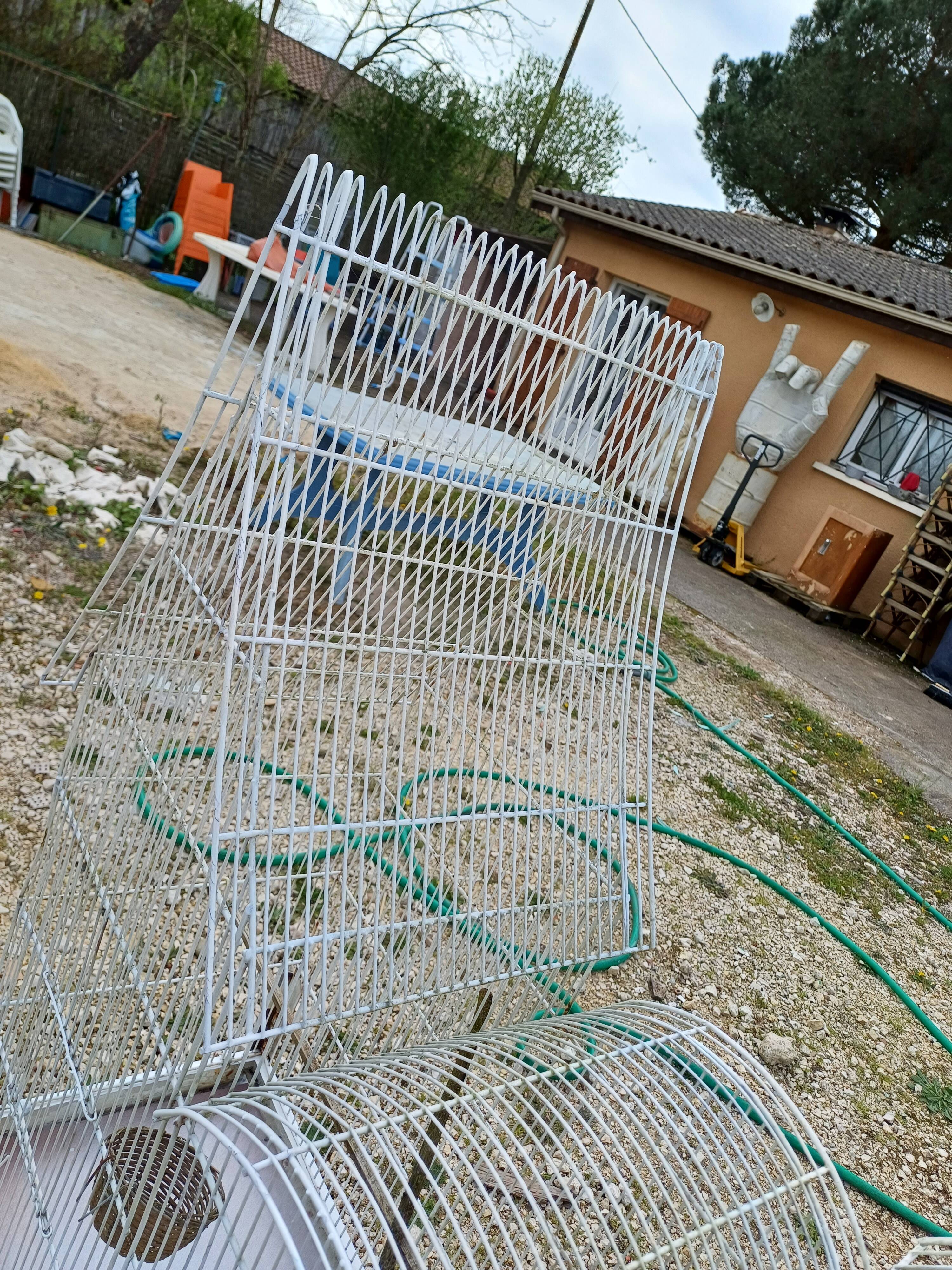 Cage à Oiseaux Fer 1900