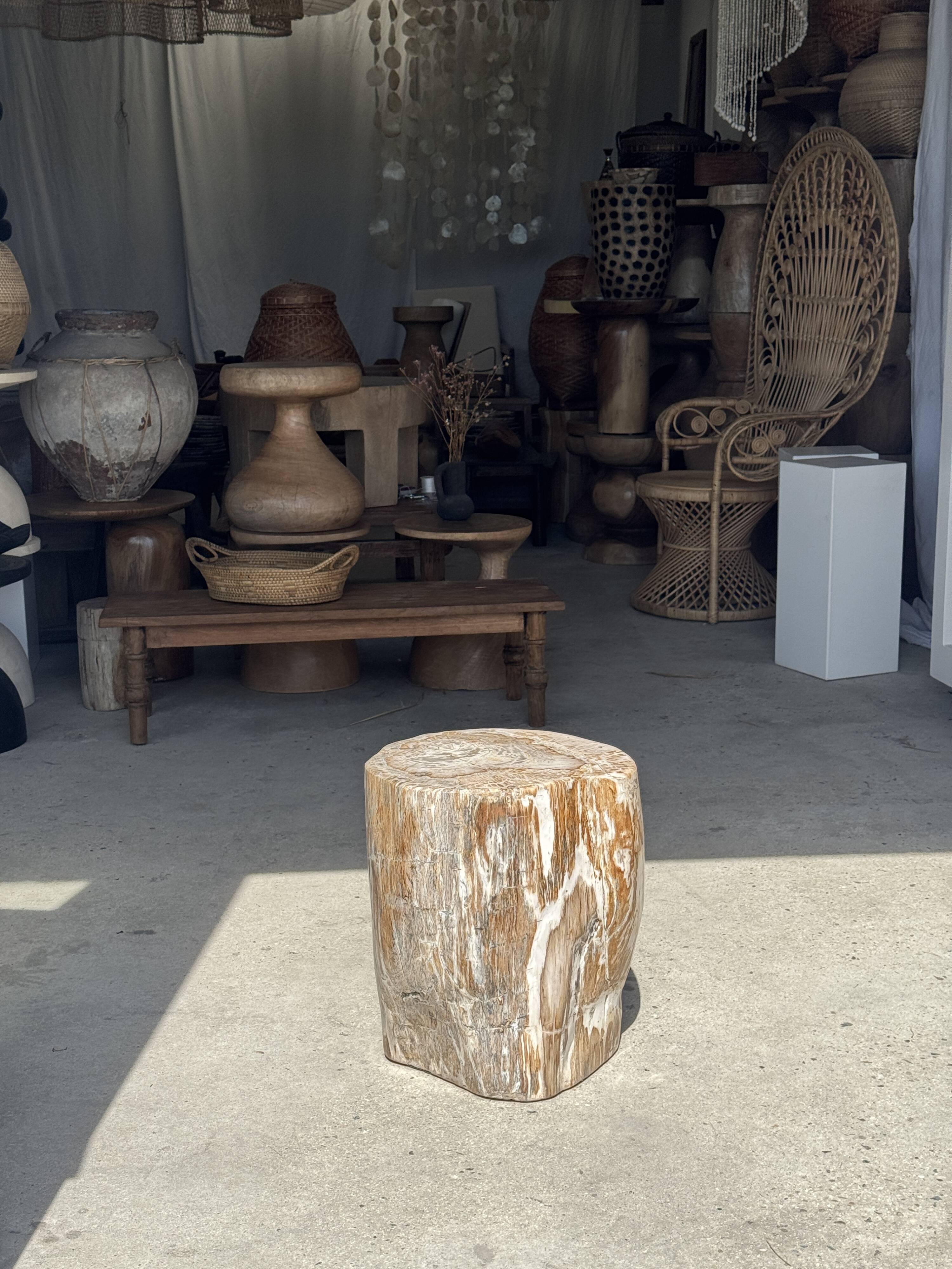 Very large white and grey petrified wood side table H45 D39 - 334
