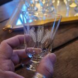 Set of 12 engraved stem glasses with ear of corn pattern from the 60s.