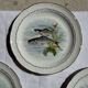 Set of 6 vintage Limoges porcelain plates with fish design.