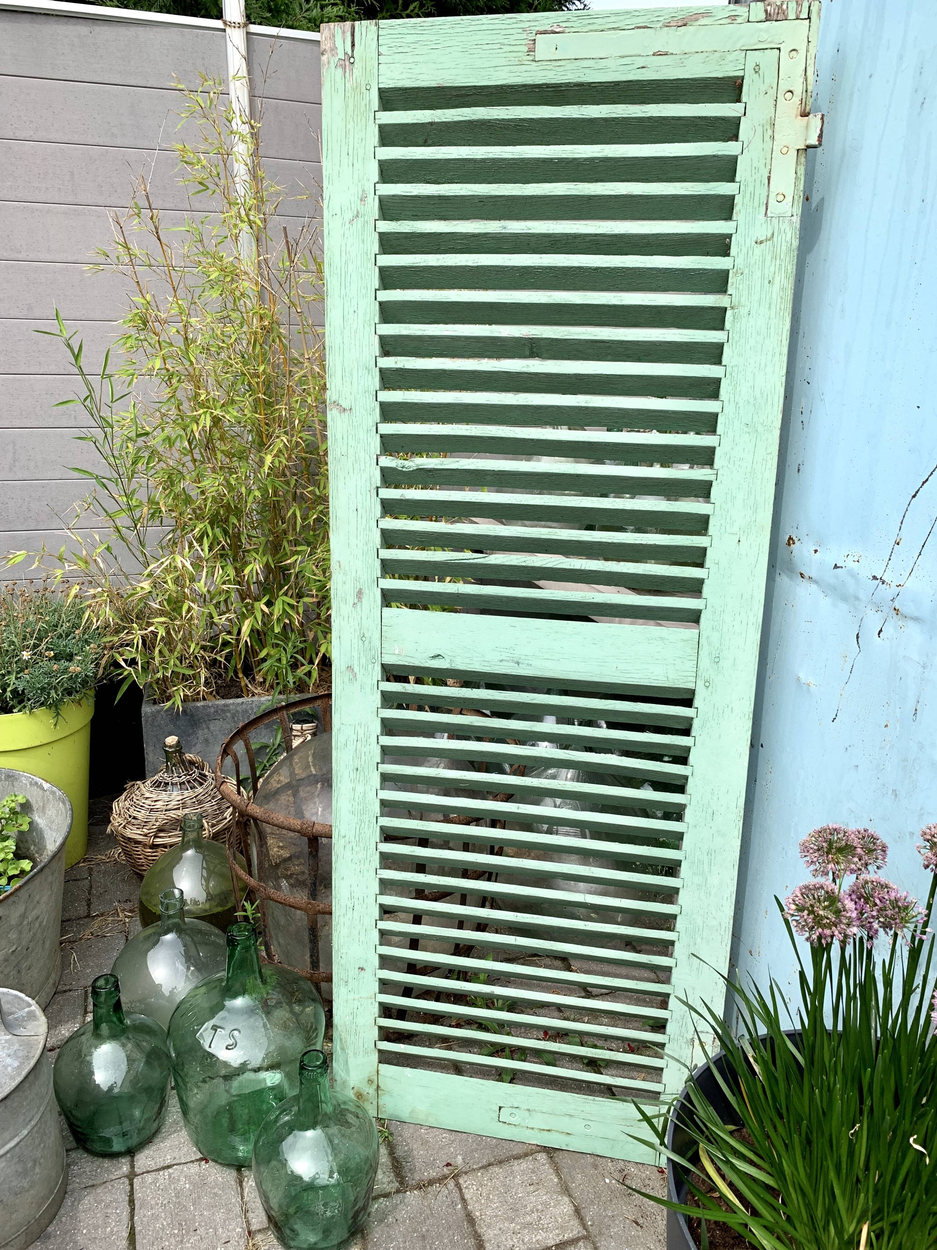 Old wood volet mint color