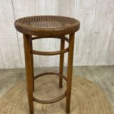 Fischel cane stool