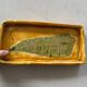 Ceramic dish signed Arlette