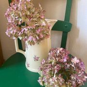 Old flowery and gilded pitcher.