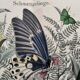 Engraving from 1886 - Tropical Butterflies (3) - Antique lithograph, plate