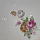 Deep plates "Digoin & Sarreguemines"
