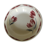 Round hollow earthenware dish