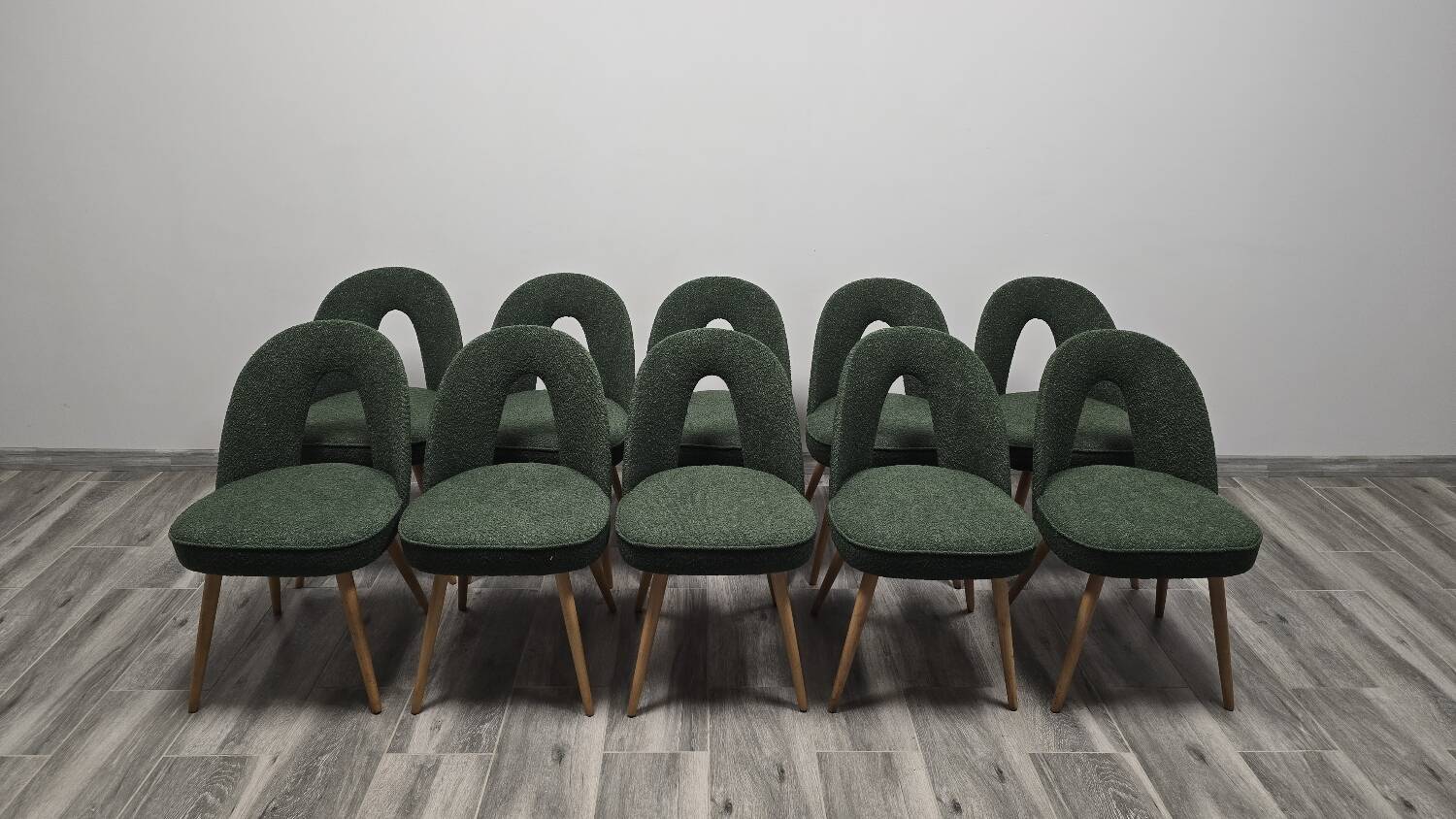 Dining Chairs by Antonin Suman, 1960s, Set of 10