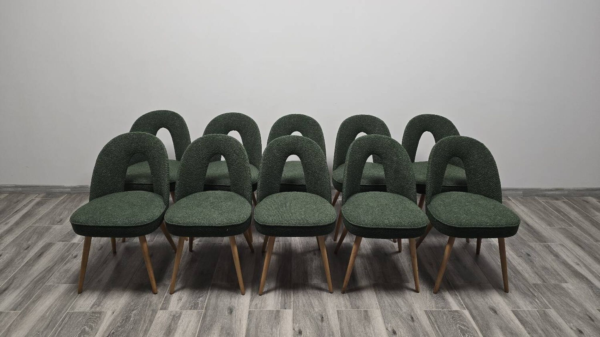 Dining Chairs by Antonin Suman, 1960s, Set of 10
