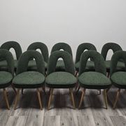 Dining Chairs by Antonin Suman, 1960s, Set of 10