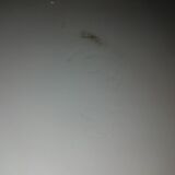 Pair of vases Egyptomania porcelain of Bayeux