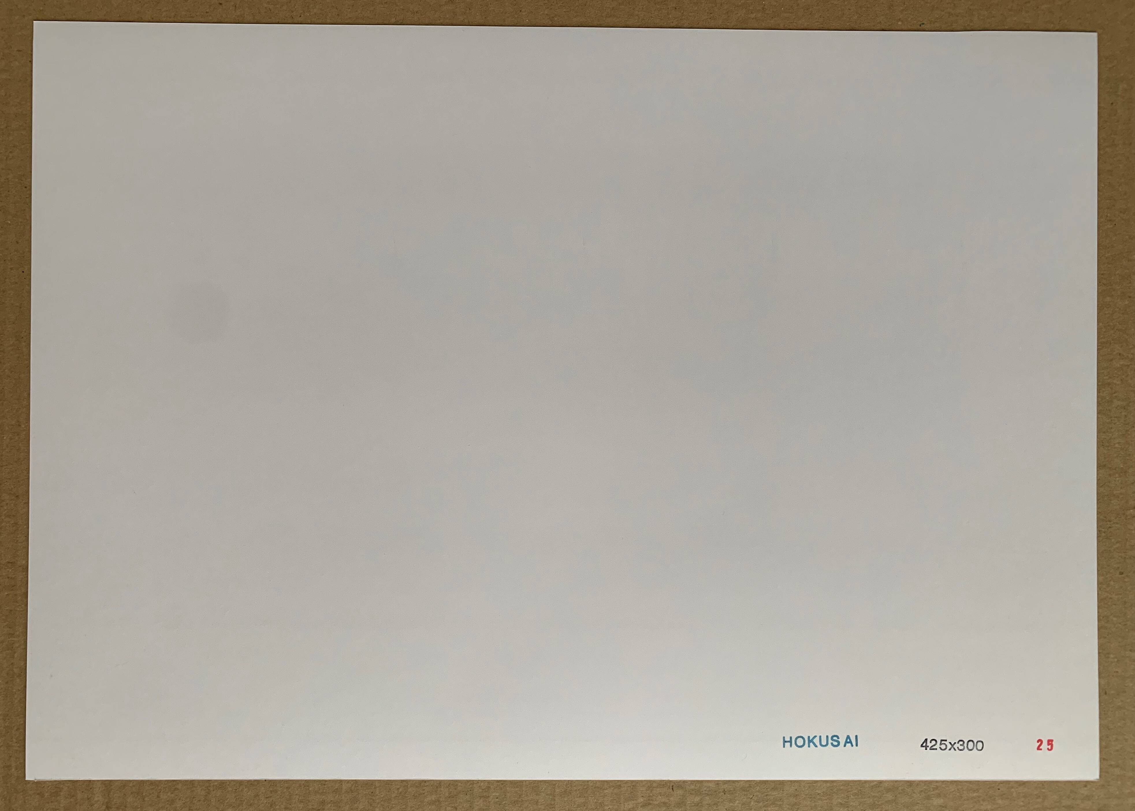 Hokusai's impression of The Great Wave off Kanagawa