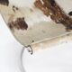 Vintage dining room chairs chrome and cowhide by Parravicini Fratelli