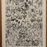 Planche illustrée vintage sur les fleurs (arbres et arbrisseaux) - 1930