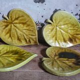 Four ceramic leaf cups from Les potiers d’Accolay