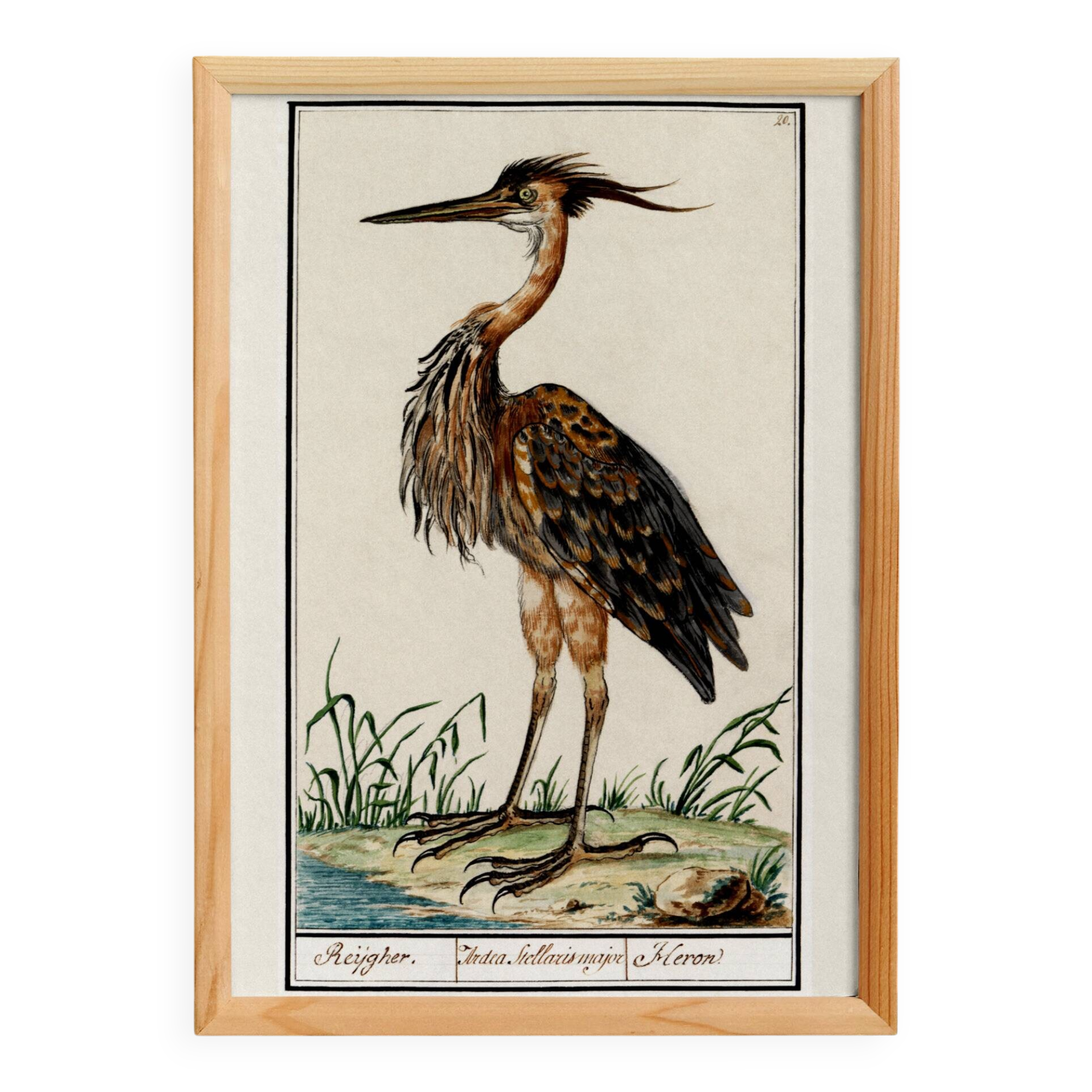 Small poster on the Heron, after an old engraving from 1610.