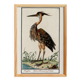Small poster on the Heron, after an old engraving from 1610.