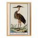 Small poster on the Heron, after an old engraving from 1610.