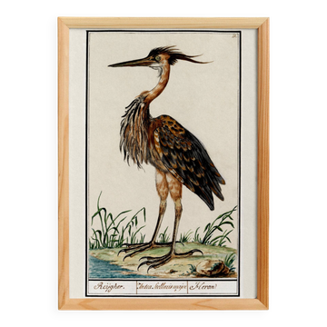 Small poster on the Heron, after an old engraving from 1610.