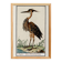 Small poster on the Heron, after an old engraving from 1610.