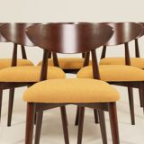 Scandinavian dining chairs set of 6 moutarde bouclé 